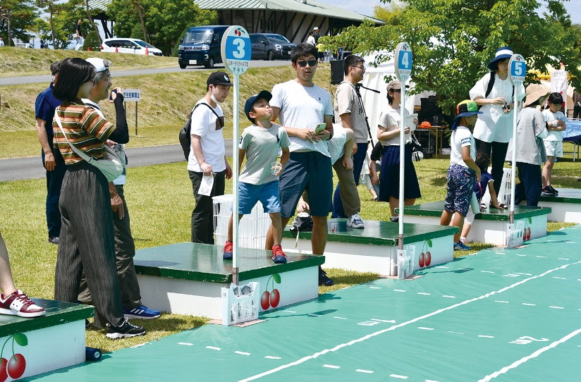 さがえさくらんぼFestival