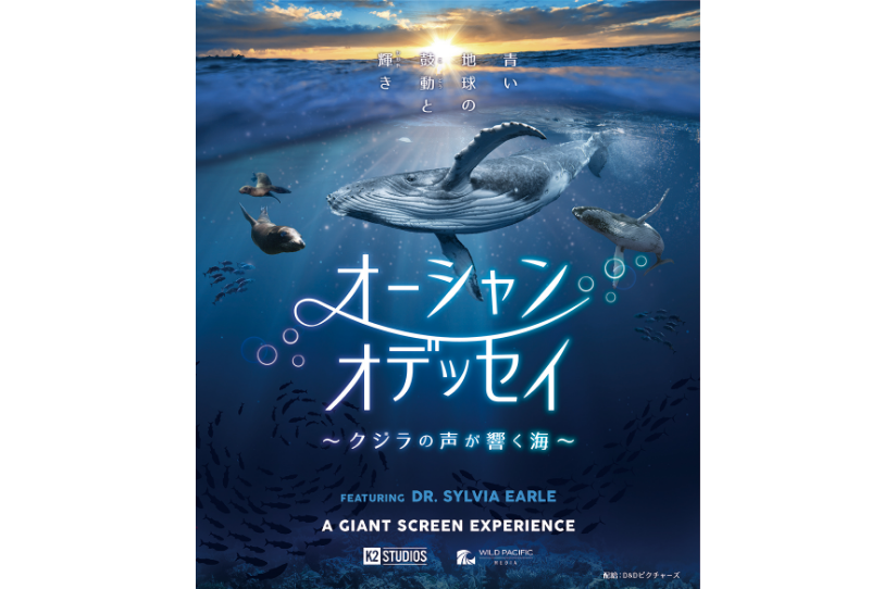 オーシャンオデッセイ ～クジラの声が響く海～