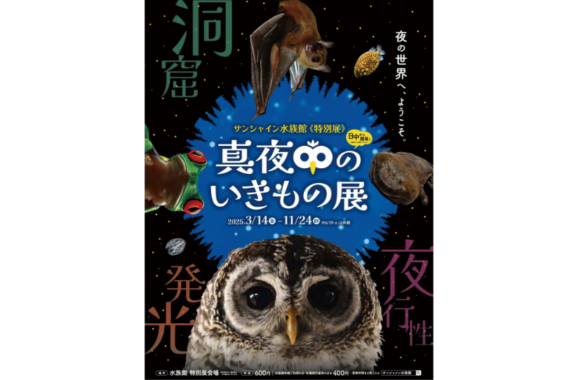 真夜中のいきもの展