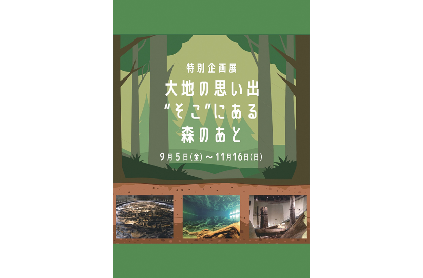 「大地の思い出”そこ”にある森のあと」