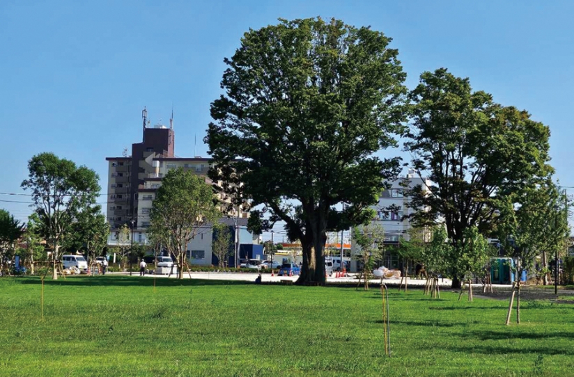 三室中央公園（愛称：ヌゥパーク）