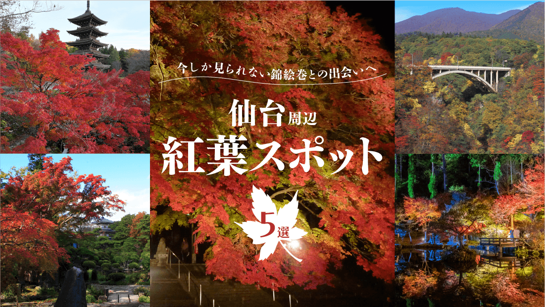 【仙台周辺 紅葉スポット5選】2025年秋 定番名所にライトアップも 仙台周辺 紅葉スポット