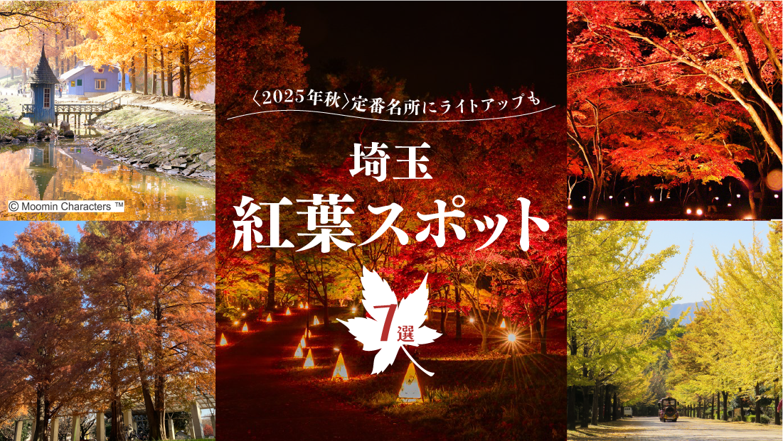 大自然を全身で楽しむ【埼玉 紅葉スポット7選】