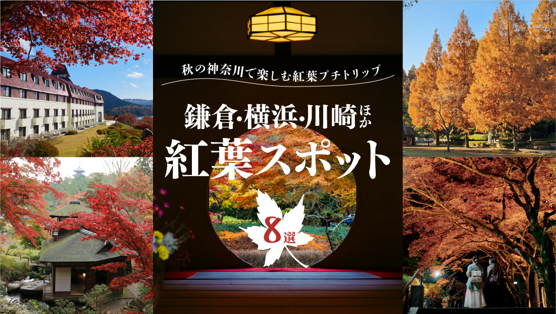 秋の神奈川で楽しむ紅葉プチトリップ【鎌倉・横浜・川崎ほか 紅葉スポット 8選】