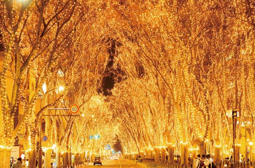 2025 SENDAI光のページェント