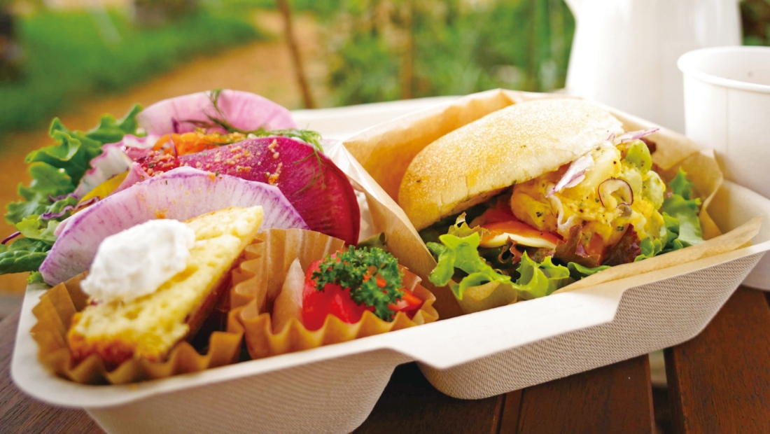 腸に嬉しい たっぷり野菜のごちそうBOX