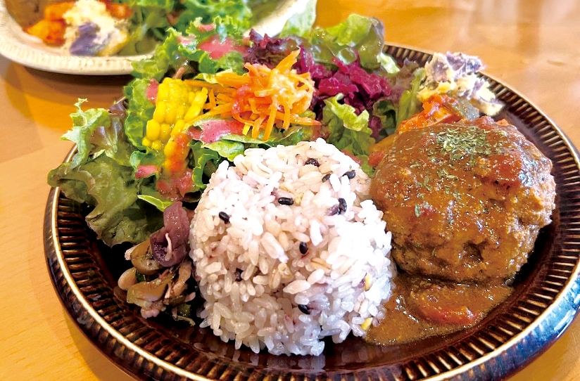 体に優しく美味しいおからのハンバーグ