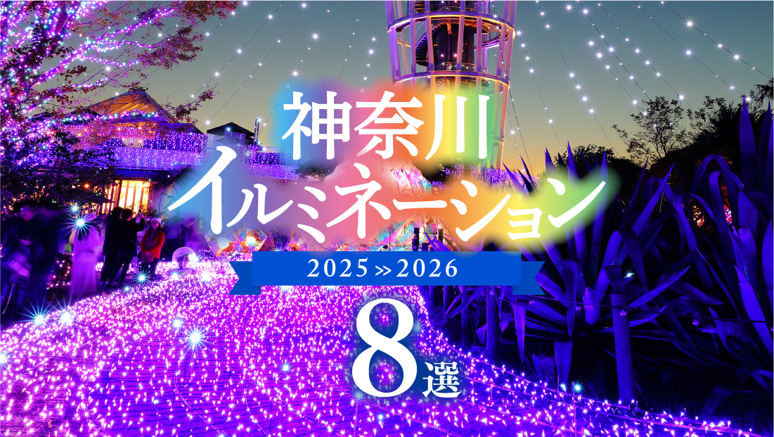 冬空を彩る美しい光景<br>【横浜・川崎・さがみ湖・江の島・箱根 イルミネーション8選】