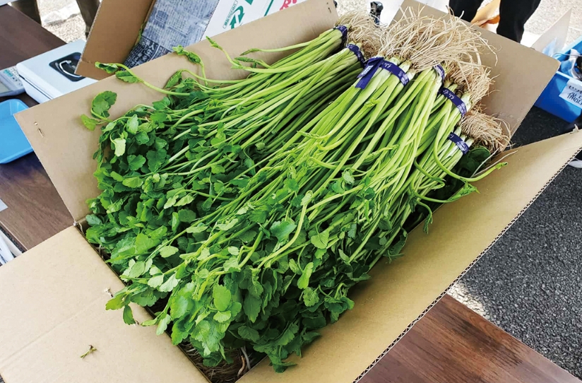 第3回名取せり祭り