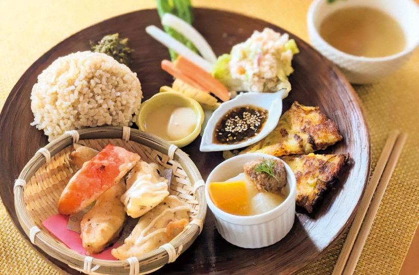 管理栄養士の経験をいかした 元気になる発酵料理