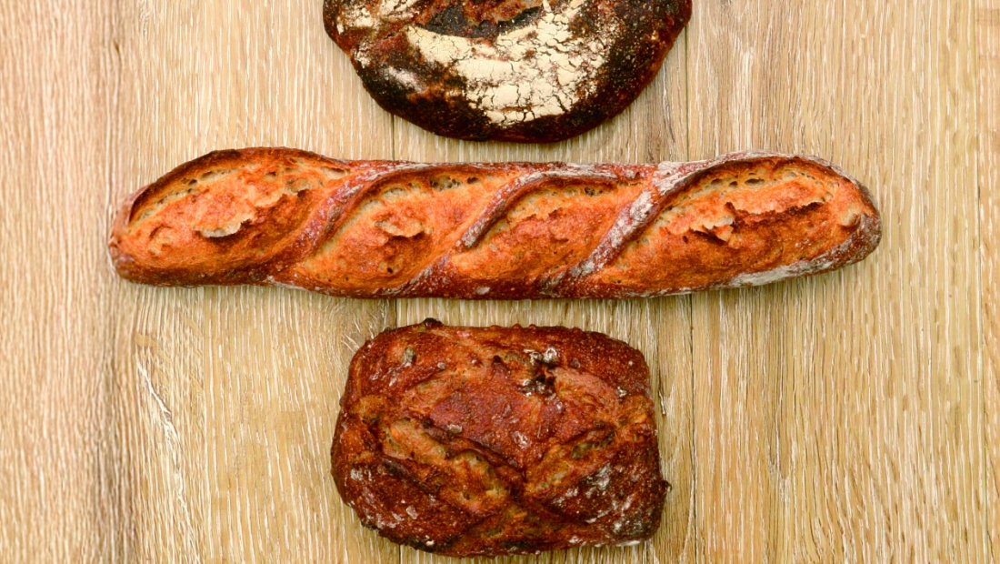 地元愛が育んだ、５人の麦人の挑戦