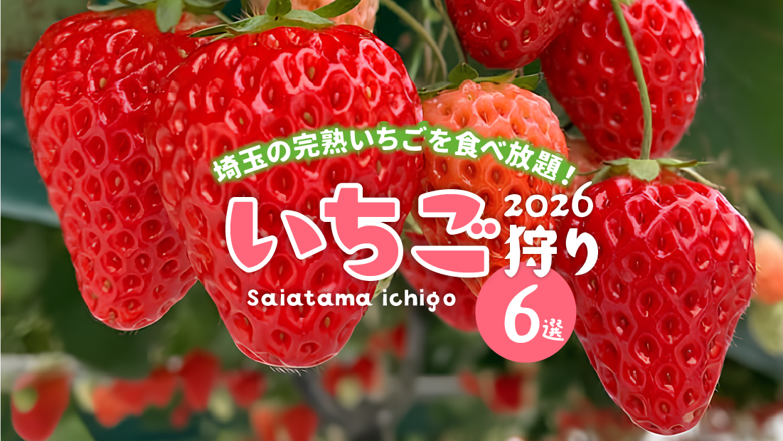 埼玉の完熟いちごを食べ放題!「あまりん・かおりん・べにたま」が揃う農園も