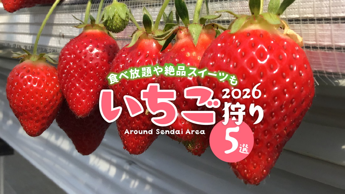 【2026年最新】仙台近郊の人気いちご狩り5選！食べ放題や絶品スイーツも