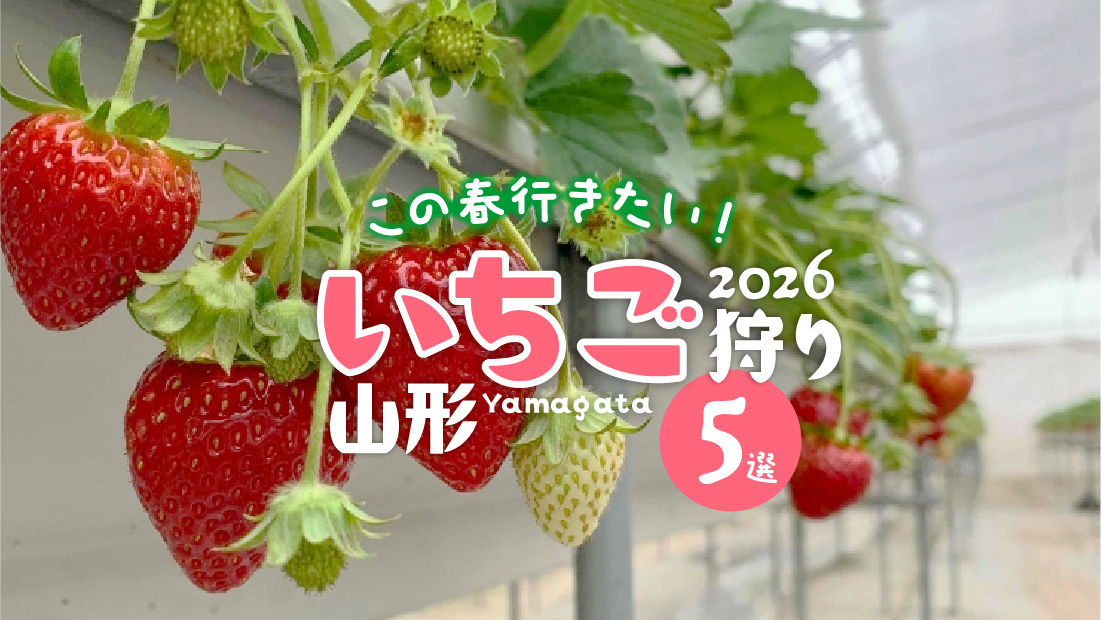 【山形】春休みに行きたい！いちご狩りスポット5選。完熟の食べ比べを満喫