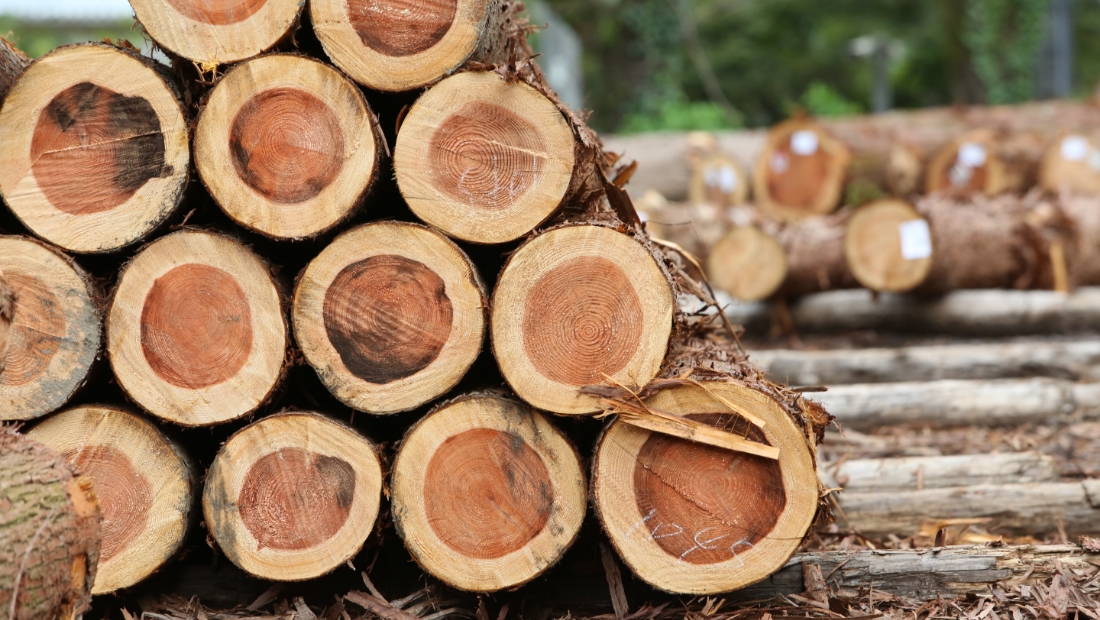 【株式会社 高砂建設】森と生きる、200年愛せる家づくり