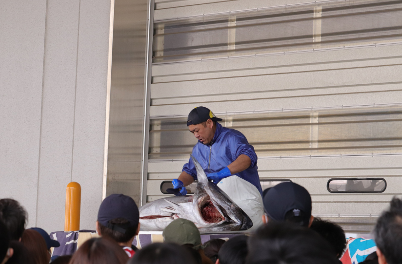 春の魚市場まつり