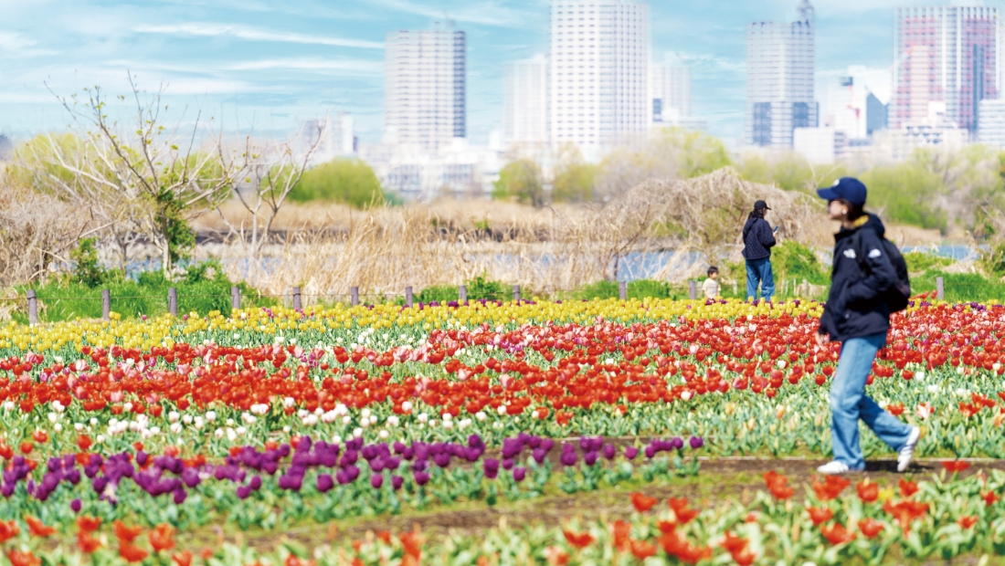 【足立】青空テラスと花めぐり 近場の贅沢時間