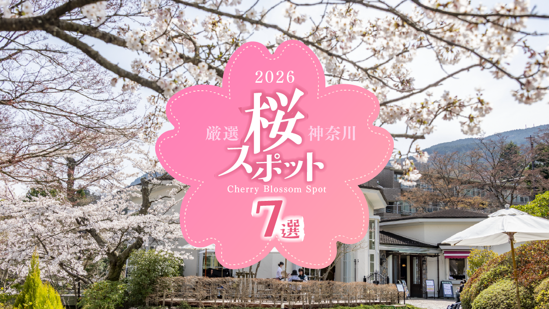 写真に残したい、忘れられない春。厳選・桜スポット7選