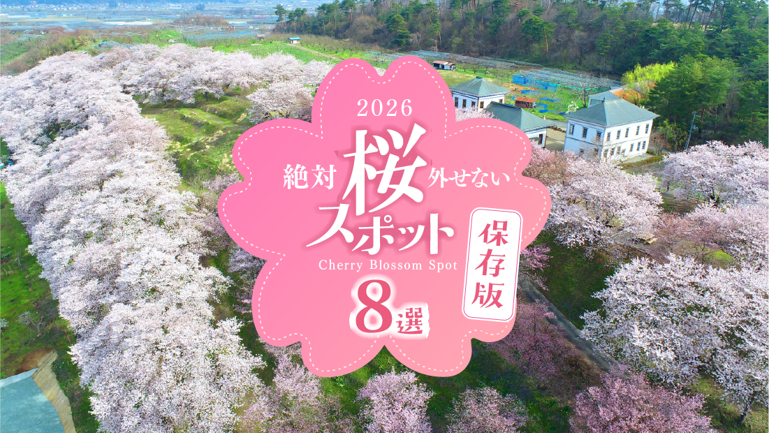 【2026最新】山形の絶対外せない桜スポット8選|保存版