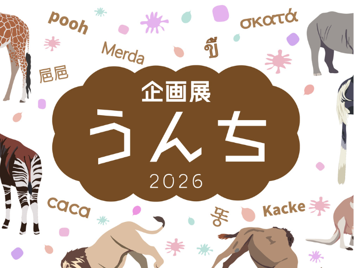 企画展「うんち」