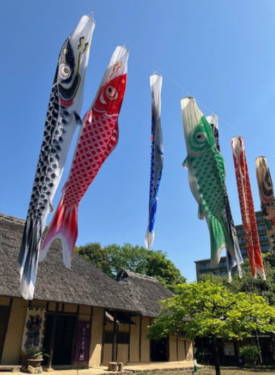 【五節句】端午の節句展示「こいのぼりと五月人形」