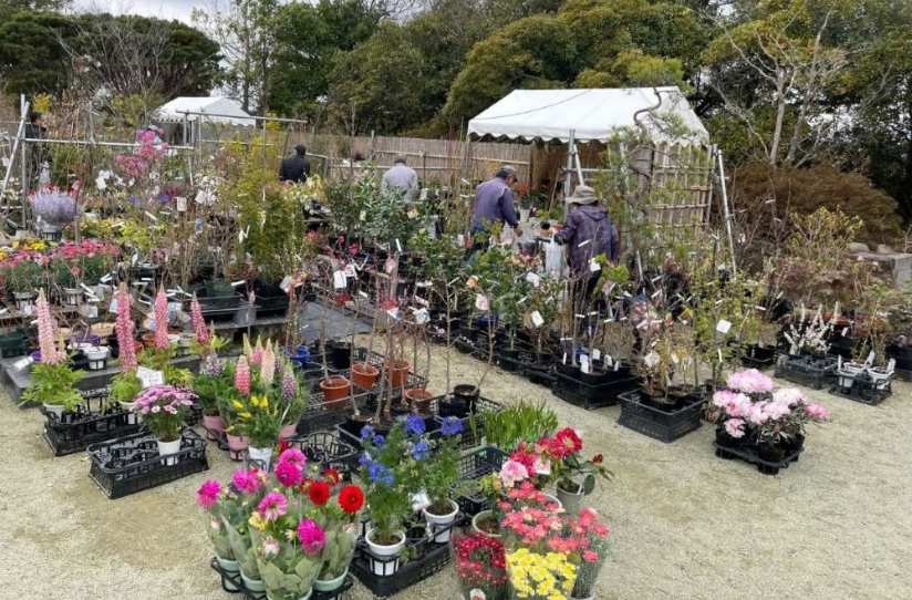 第77回 杜の都づくり 春の植木市