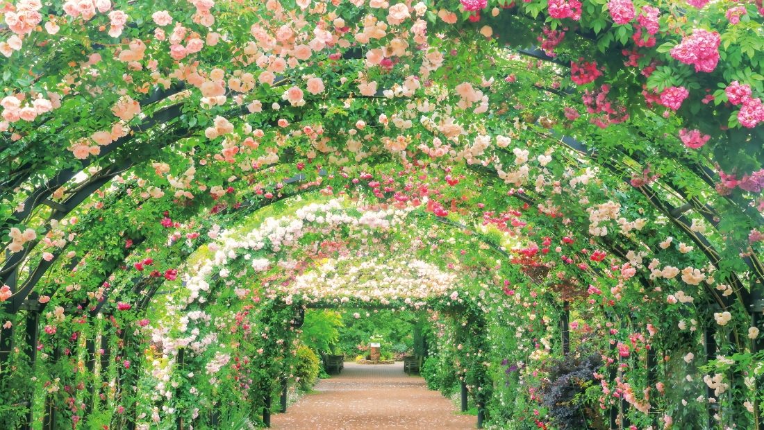 春を彩る花々と、心ときめくご褒美スイーツ