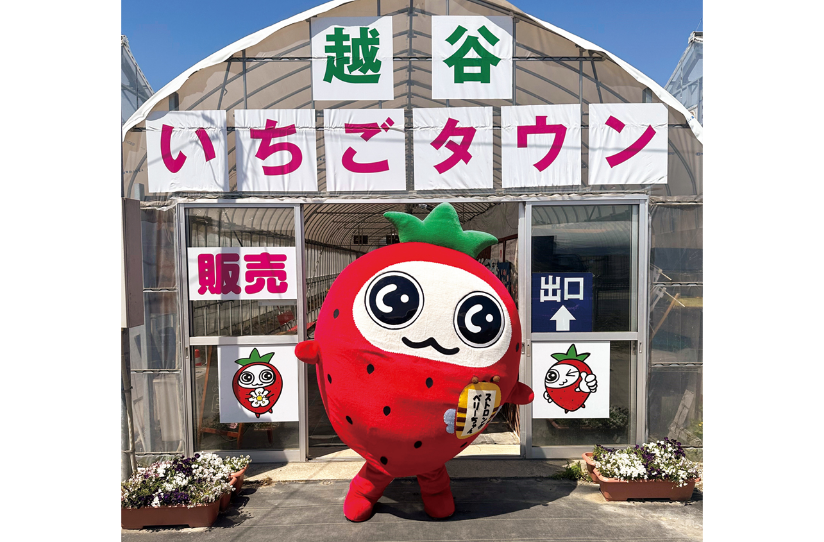 越谷いちごタウンでいちご狩り（予約制）