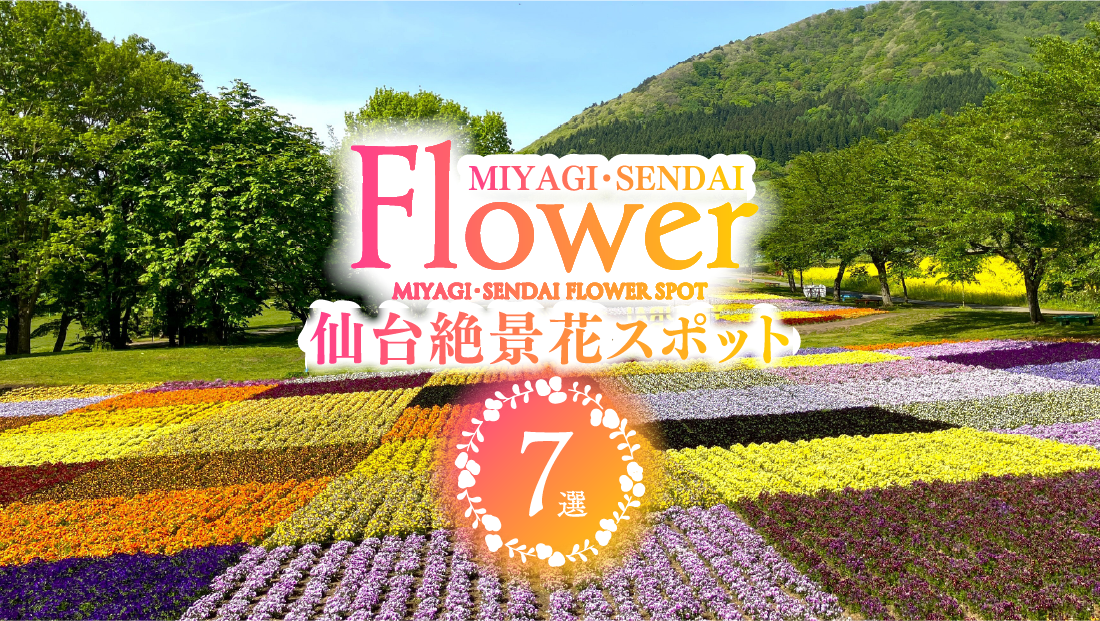 宮城の春を満喫！仙台から行ける絶景花スポット7選。菜の花・チューリップの見頃は？