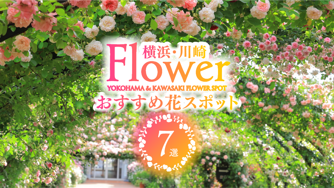【横浜・川崎】花スポットおすすめ7選！大人女子の散策ガイド｜arift.web