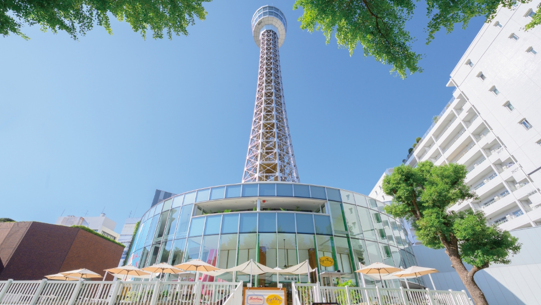 進化する  横浜の景色をアップデート！
