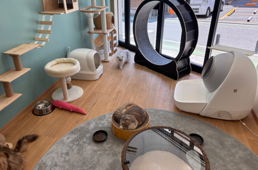 ANELLA CAFE 南浦和店