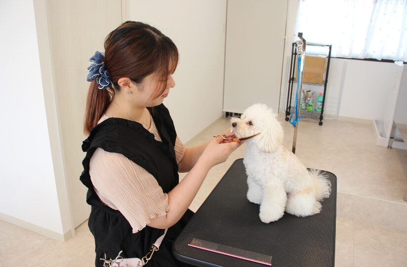 Dog salon Chouchou