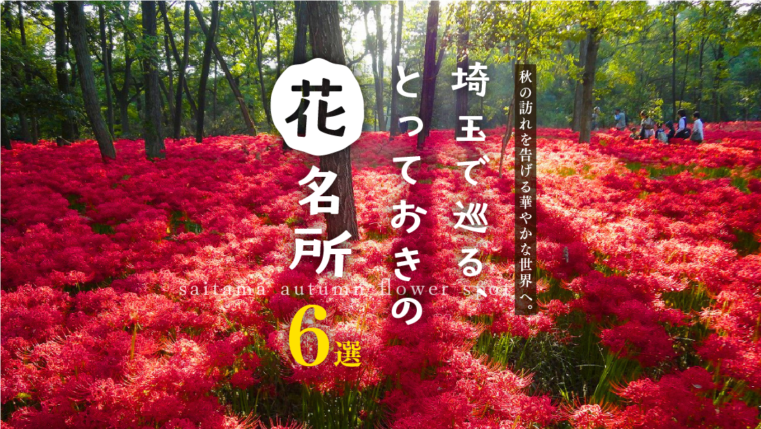 秋の訪れを告げる華やかな世界へ。埼玉で巡る、とっておきの花名所6選
