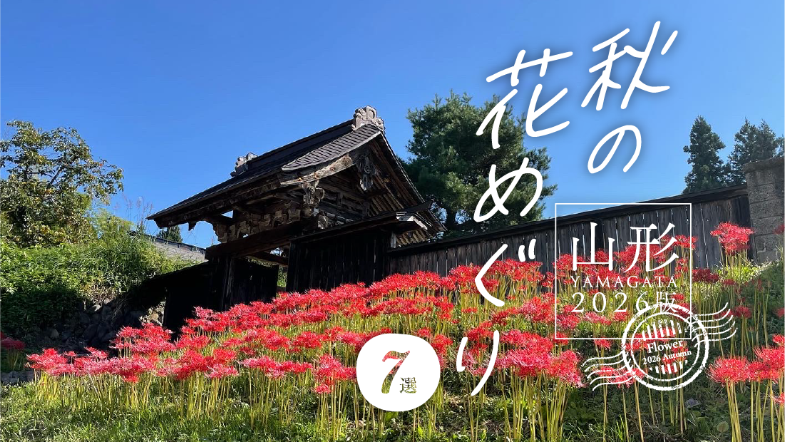 【保存版】9月・10月に行くべき！山形の秋花めぐり7選
